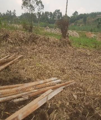 Site Clearance Image