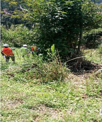 Site Inspection Image